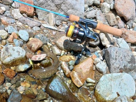 鱒レンジャーを持ってイワナの谷へ